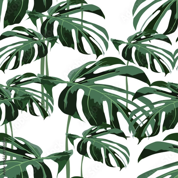 Obraz Seamless tropical pattern with monstera leaves.  Abstract background texture.

