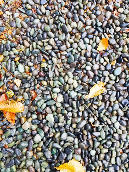 Obraz pebbles
