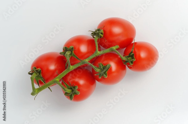 Obraz Red cocktail tomatoes on a branch. Light gray background. View from above. Soft shadows.