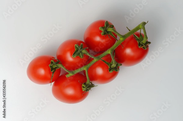 Obraz Red cocktail tomatoes on a branch. Light gray background. View from above. Soft shadows.