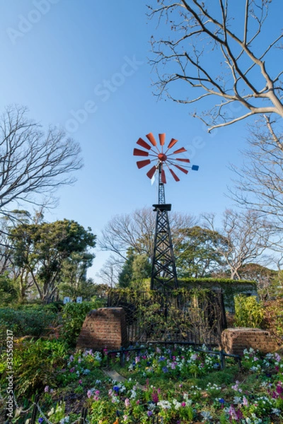 Obraz 自然と風車