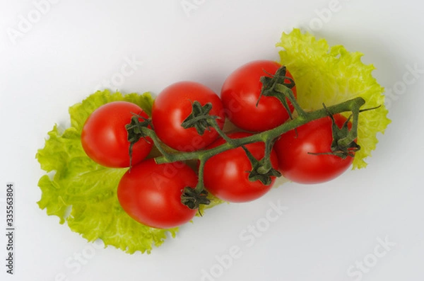 Obraz Cocktail tomatoes on a branch lie on lettuce leaf. White background. Top View.