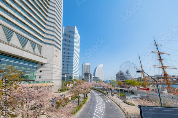 Obraz 都市と桜並木