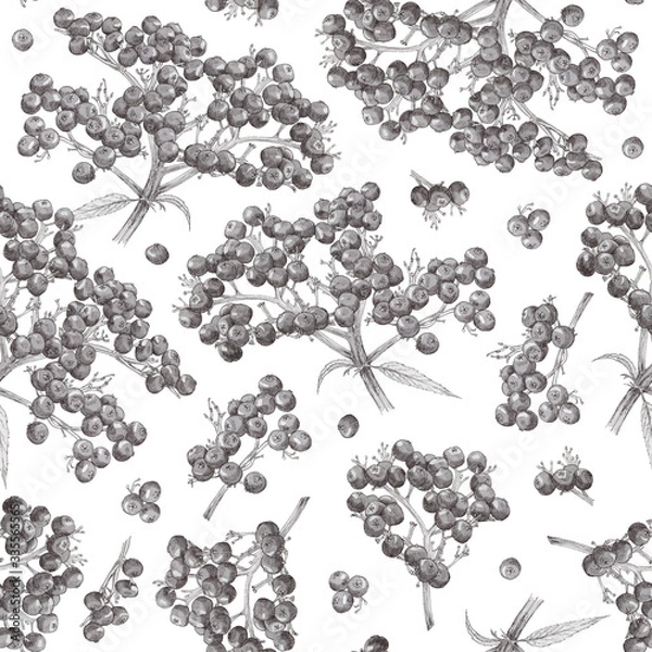 Obraz Seamless pattern with elderberry branches. Ripe medicinal berries in a graphic style for wrapper, textile, scrapbooking paper, gift box, on a white background