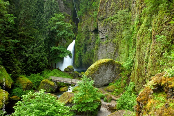 Obraz Oregon portrait Wahclella falls
