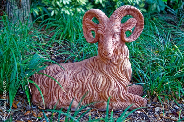 Fototapeta Aries the Ram