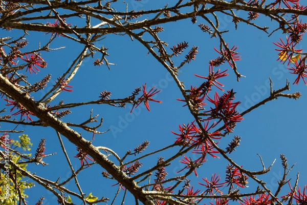 Obraz Cuchillitos de Poró