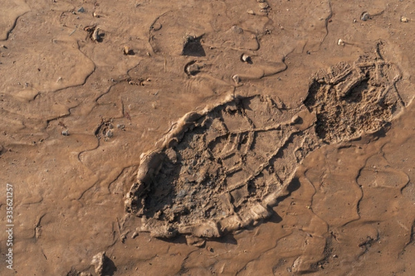 Fototapeta Footprint of a workboot in the mud after work