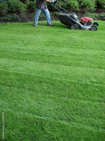 Fototapeta lawn mowing