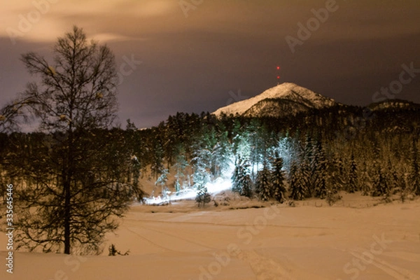 Obraz flashlight in nature at night