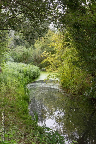 Obraz Ruhiger Nebenfluss