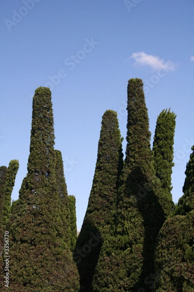 Fototapeta are they talking to each other?