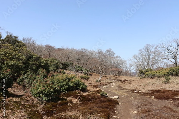 Fototapeta 竜ヶ岳　日本　景色　山