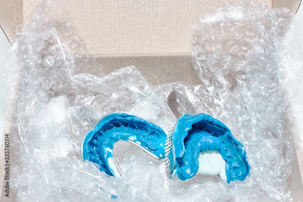 Fototapeta Two silicon dental molds in a box for transportation