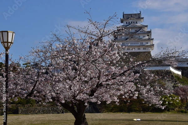 Obraz 春の姫路城