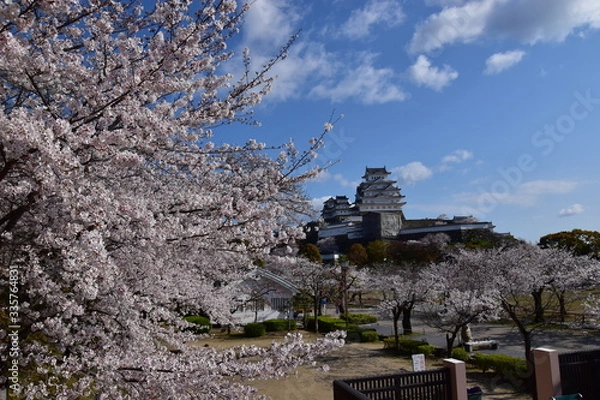 Obraz 春の姫路城