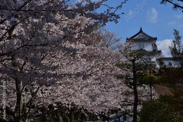 Obraz 春の姫路城