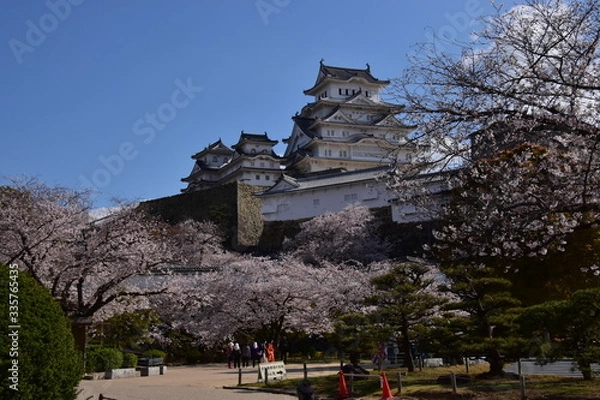 Obraz 春の姫路城