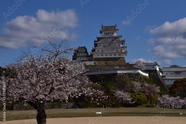 Obraz 春の姫路城