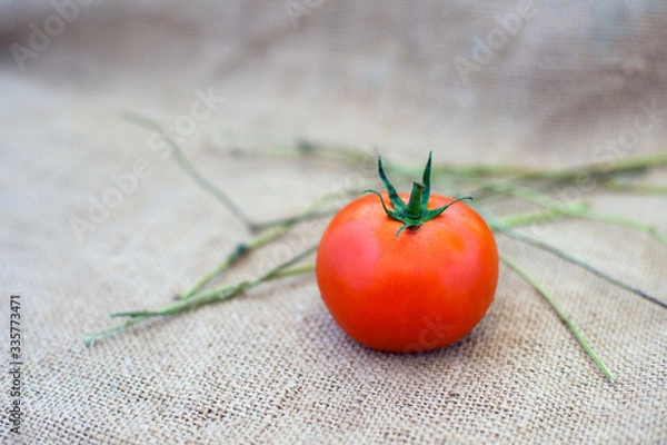 Obraz Red ripe tomato on sacking