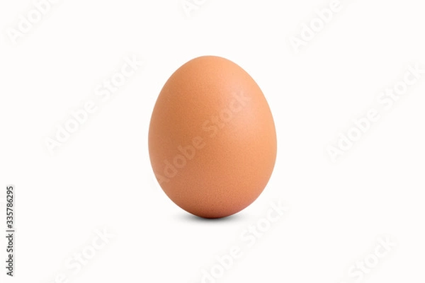 Fototapeta chicken egg on white background