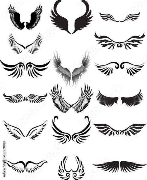 Obraz Wings silhouette collection