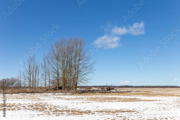 Obraz Finnish countryside