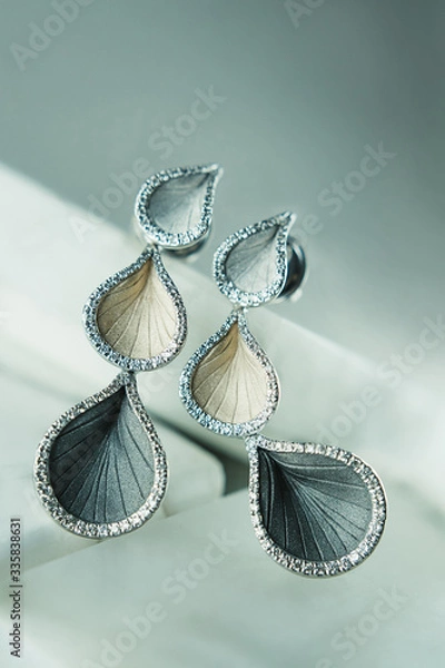 Obraz earrings