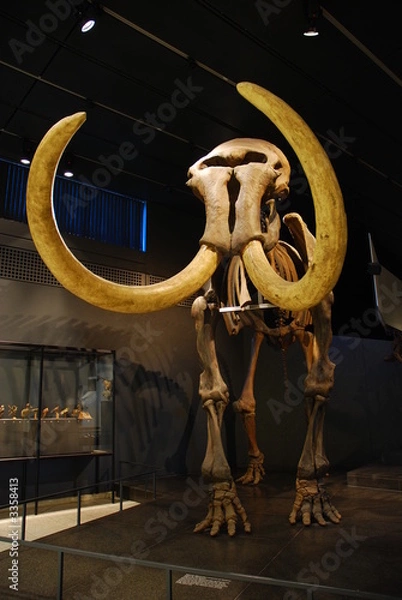 Obraz ice age mammoth