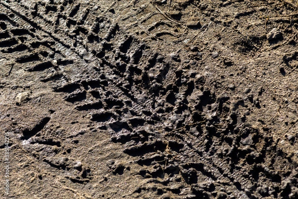 Fototapeta Traces of the tire tread of a car on a dirt road