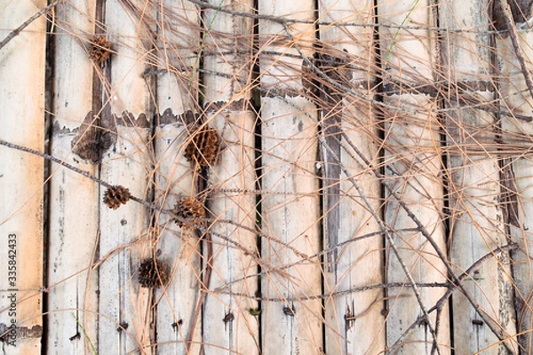 Fototapeta OLYMPUS DIGITAL CAMERA