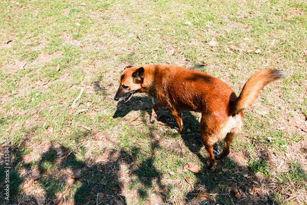 Obraz OLYMPUS DIGITAL CAMERA