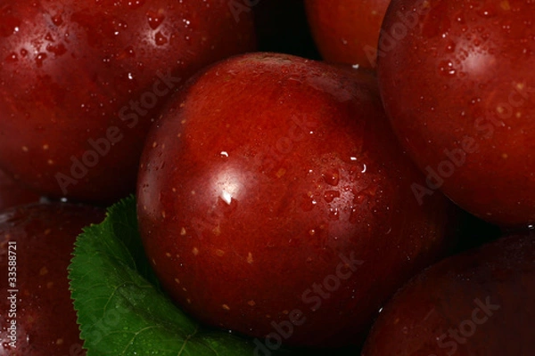 Obraz red plums close up