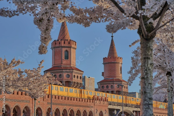 Fototapeta Berlin Spring. Oberbaum bridge and a yellow subway at the Warsaw Street in Berlin's city centre behind white and pink blossoming cherry trees, sunny day with beautiful blue sky