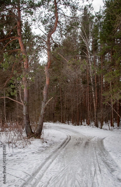 Fototapeta Early spring in the forest - snow and water