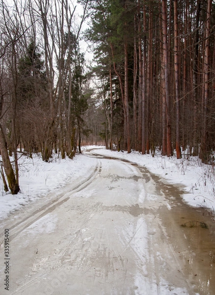 Fototapeta Early spring in the forest - snow and water
