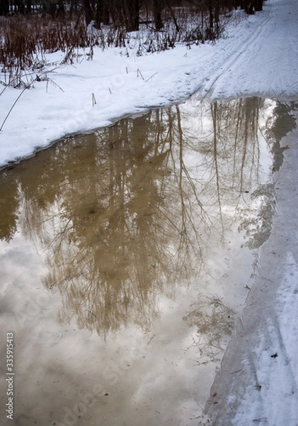 Fototapeta Early spring in the forest - snow and water