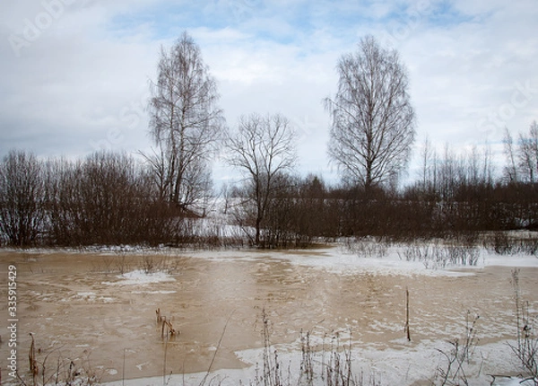 Fototapeta Early spring in the forest - snow and water