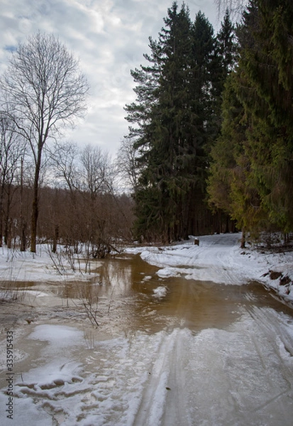 Fototapeta Early spring in the forest - snow and water