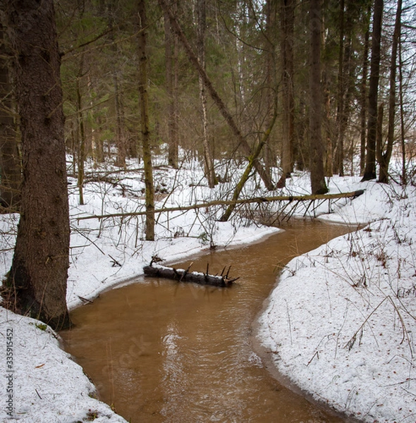 Fototapeta Early spring in the forest - snow and water