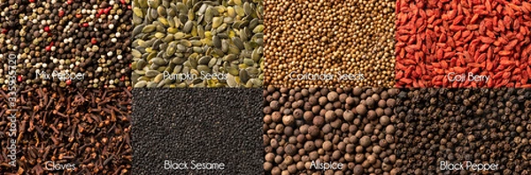 Fototapeta Panel with many spices and herbs