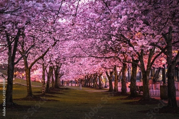 Obraz Portland Oregon