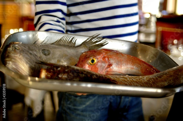 Obraz la bouillabaisse
