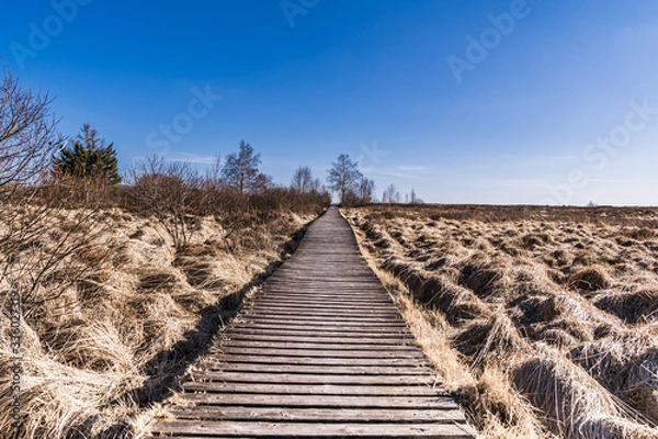 Obraz Brackvenn Steg