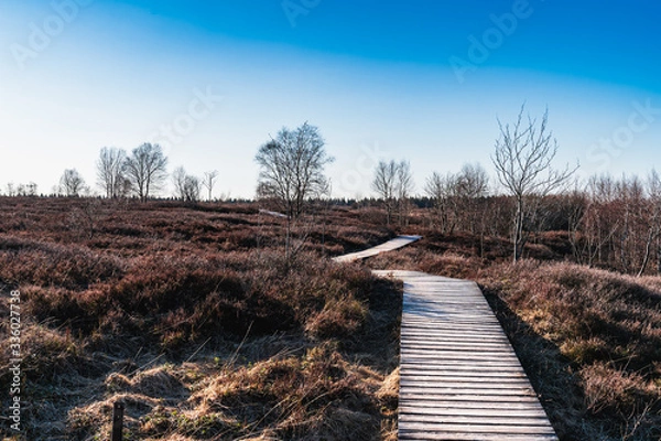 Obraz der Weg durchs Moor