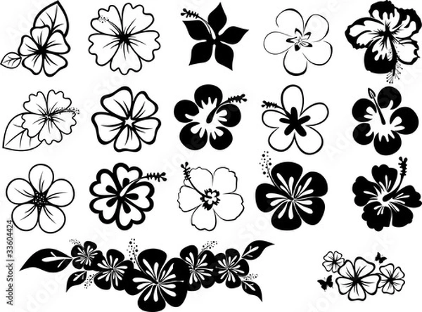 Obraz zestaw hibiskusów