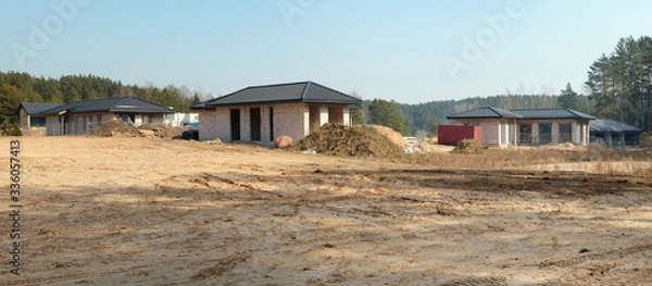 Fototapeta A large area in a  spring pine forest has been cleared for construction