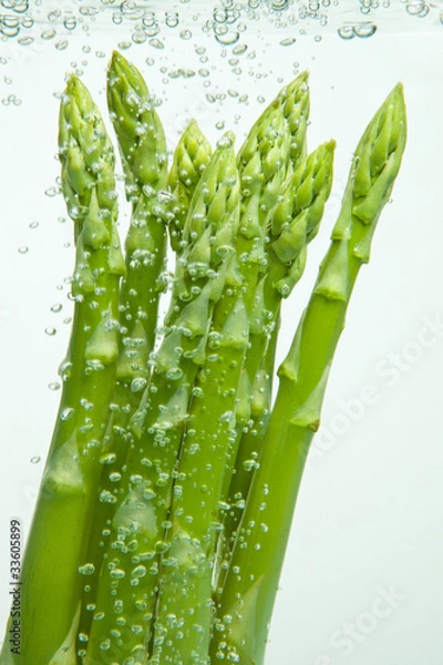 Fototapeta Grüner Sparkel im Wasser