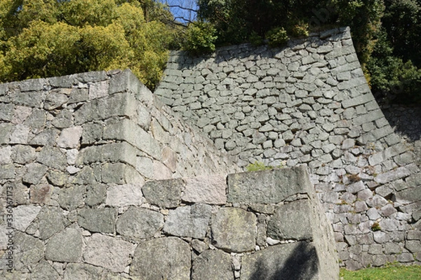 Fototapeta 松山城　桜