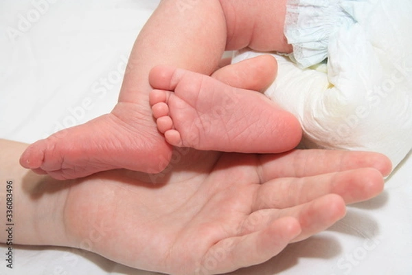 Fototapeta a small newborn baby in the arms of its mother, the mother holds the newborn's legs in her hands